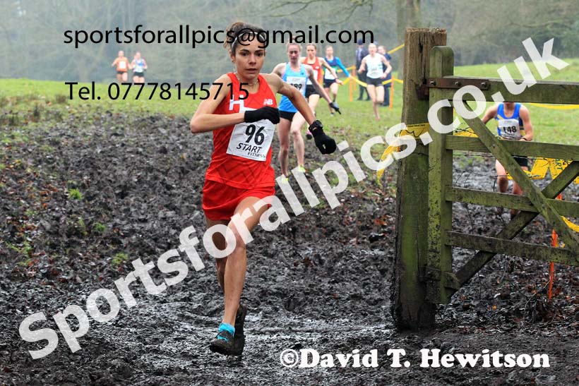 Senior Womens 2023 Northern Cross Country Champs., Witton Park, Blackburn. Photo: David T. Hewitson/Sports for All Pics